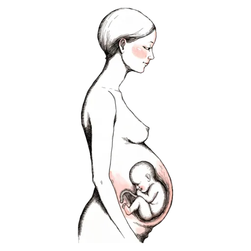 女性孕育健康守護套組